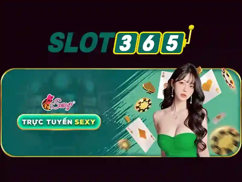 Ảnh minh họa hệ thống quản trị và tuân thủ slot365